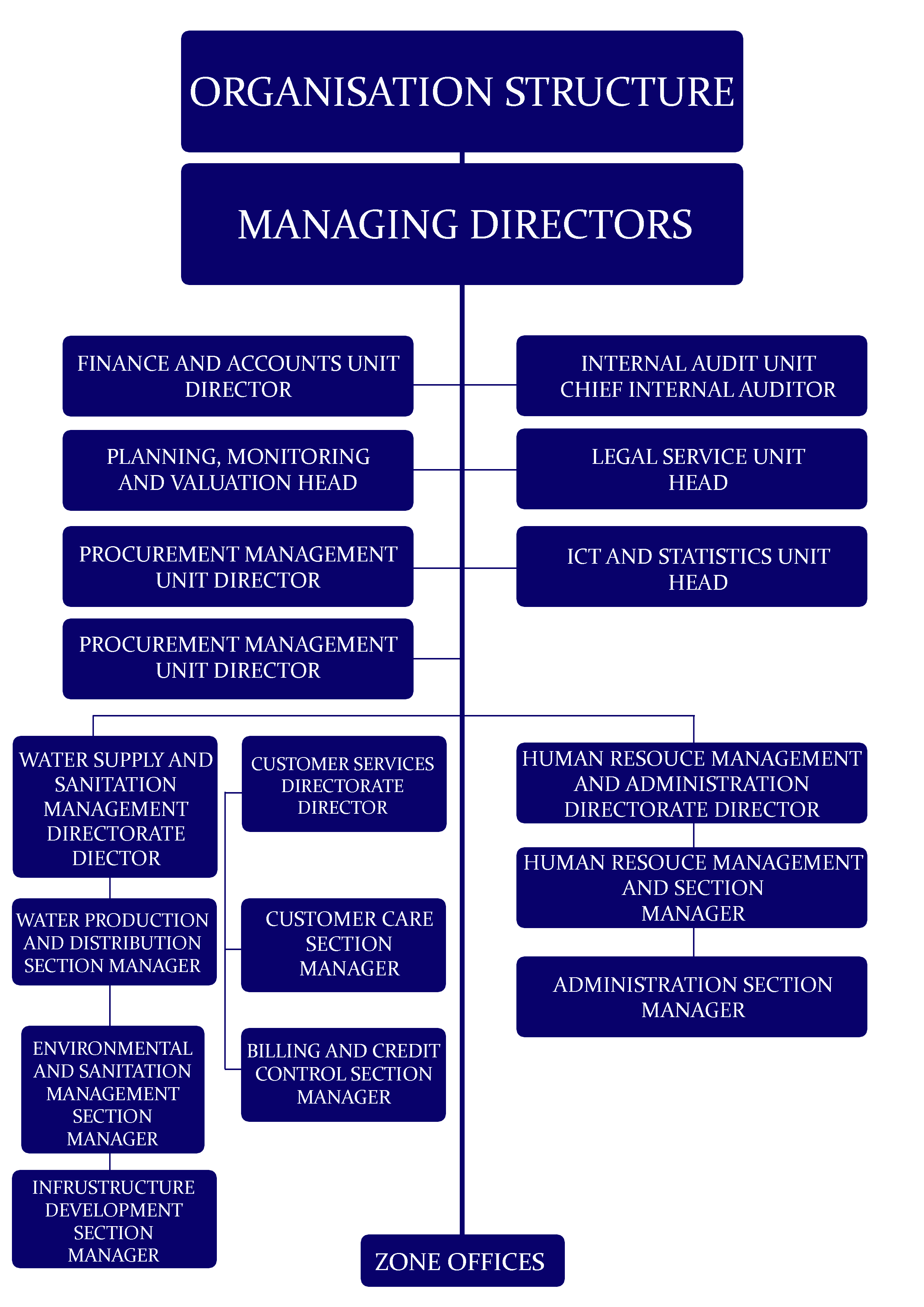 Organization Structure