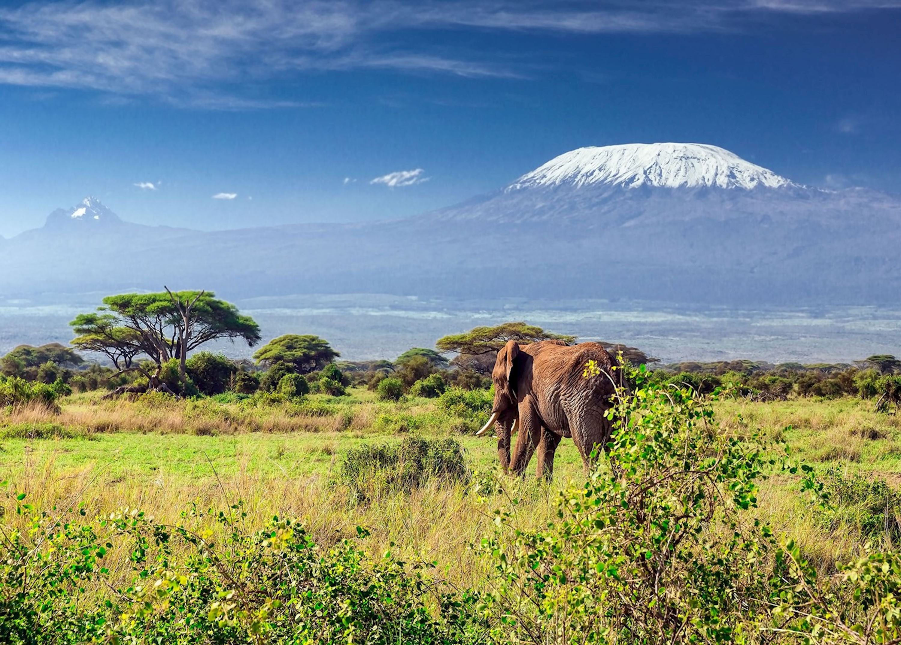 You Should See Things when visiting Japan